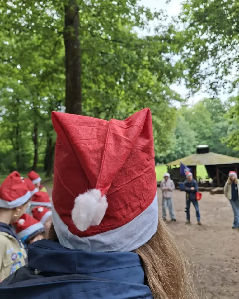 3.1